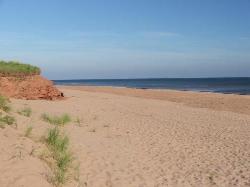 Enjoy one of the world's loveliest sandy beaches at Mostly Dune