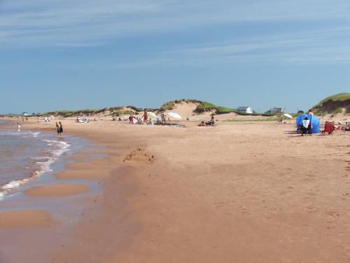 Enjoy one of the world's loveliest sandy beaches at Mostly Dune